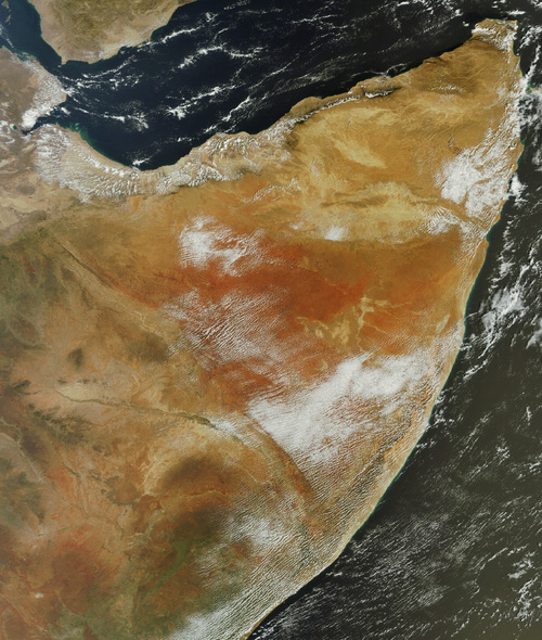 e0171614_1126750.jpg