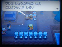 ポケットモンスターブラック縛りプレイ ホドモエジム戦 つきねこの日記