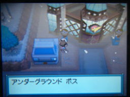 ポケットモンスターブラック縛りプレイ（ホドモエジム戦）_a0120525_0262449.jpg