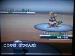 ポケットモンスターブラック縛りプレイ（ホドモエジム戦）_a0120525_0281281.jpg