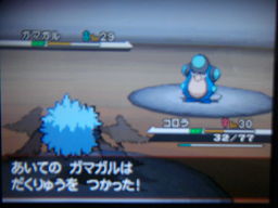 ポケットモンスターブラック縛りプレイ（ホドモエジム戦）_a0120525_0352388.jpg