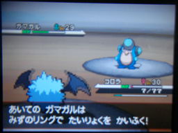 ポケットモンスターブラック縛りプレイ（ホドモエジム戦）_a0120525_0355031.jpg