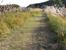 綾部里山交流大学11月講座に参加しました(その1)_e0061225_8462576.jpg