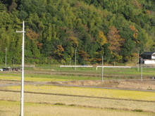 綾部里山交流大学11月講座に参加しました(その1)_e0061225_8502445.jpg
