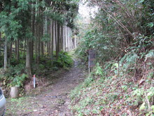 綾部里山交流大学11月講座に参加しました(その2)_e0061225_9494554.jpg
