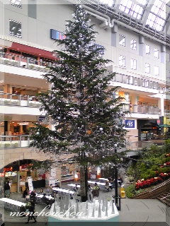 e0175228_12323175.jpg
