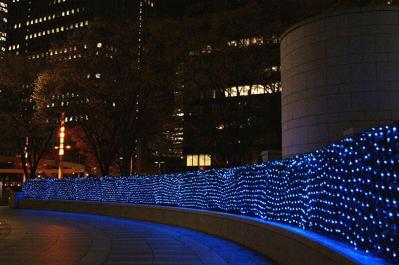 a0122932_9483055.jpg