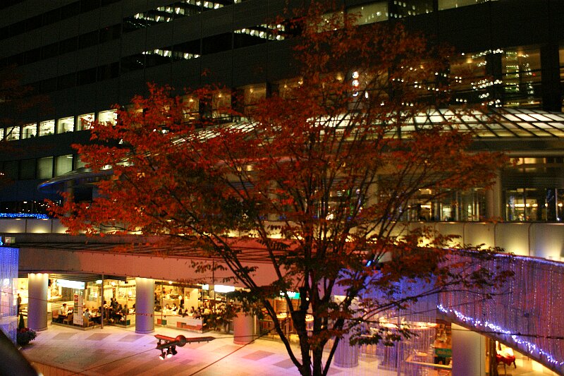 a0122932_949720.jpg