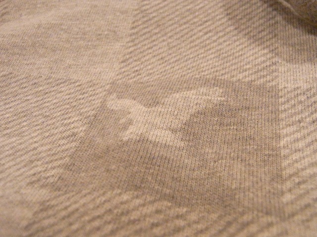 American Eagle パーカー特集_b0139233_19583885.jpg