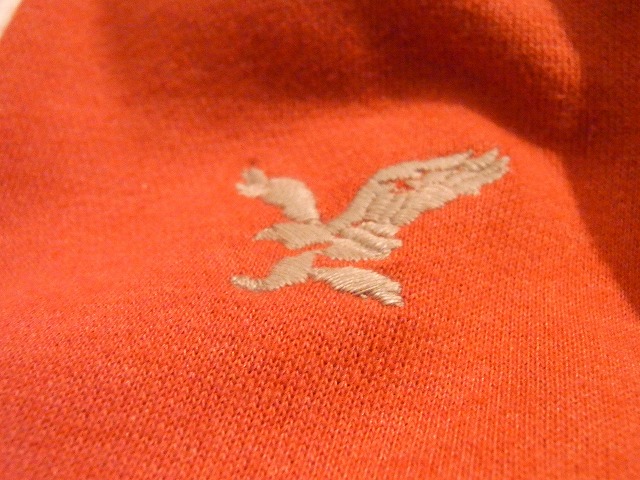 American Eagle パーカー特集_b0139233_19593283.jpg
