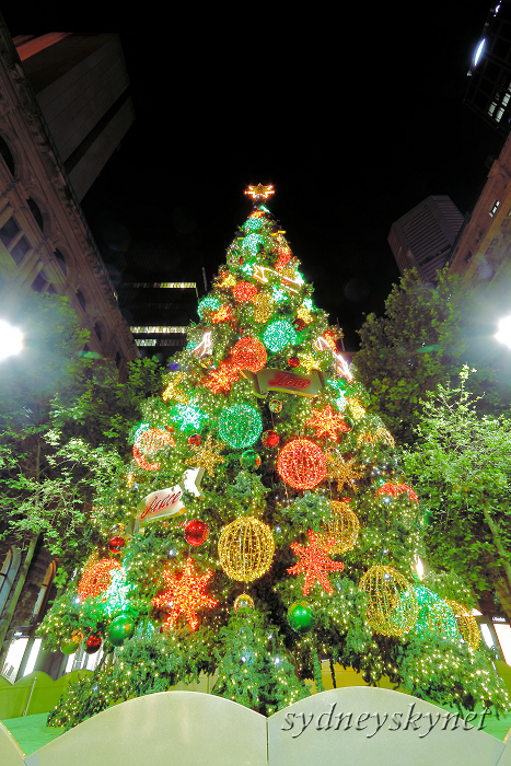 Xmas Tree in Martin Place Day & Night_f0084337_1911686.jpg