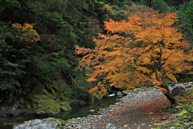 2010年12月9日　　この一日_e0083238_2274313.jpg