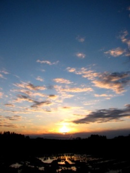 c0204740_2115349.jpg