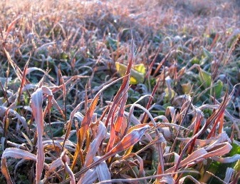 c0204740_21163090.jpg