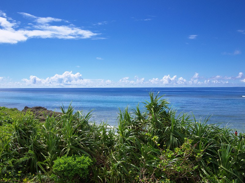 沖縄離島巡り ～ 黒島 ～仲本海岸２_f0002946_23235540.jpg