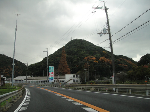 竹伐採 in 孝子の森の竹林(せんなん里海公園用門松用) _c0108460_169416.jpg