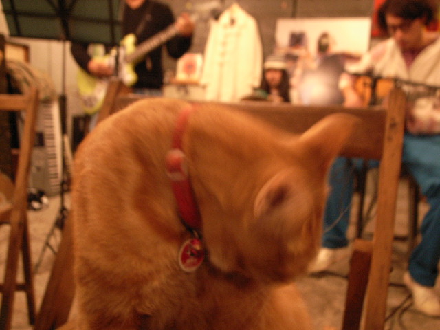 \"3人の巨匠たち\"ってこんなこと。_c0140560_12271819.jpg