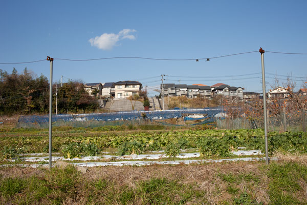2010/12/09 麻生区黒川界隈_b0171364_1673753.jpg