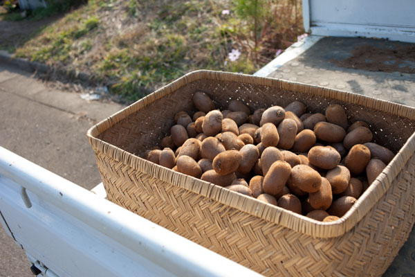 2010/12/09 麻生区黒川界隈_b0171364_168360.jpg