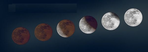 c0139375_10544092.jpg