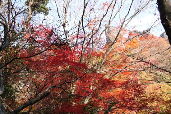 紅葉は・・・・・まだ何とか　小豆島_b0151689_17443960.jpg