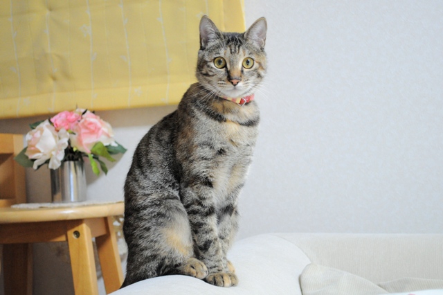 またやっちゃった!_a0126590_5291288.jpg