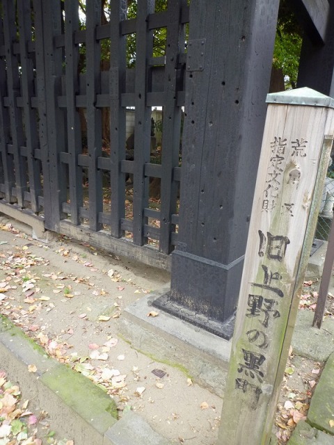 e0196993_254502.jpg