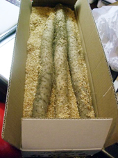 e0000295_1581884.jpg