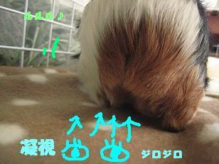 a0115597_104789.jpg
