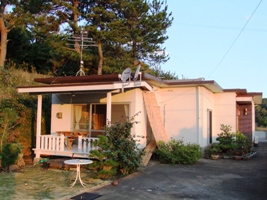 e0198197_16355492.jpg