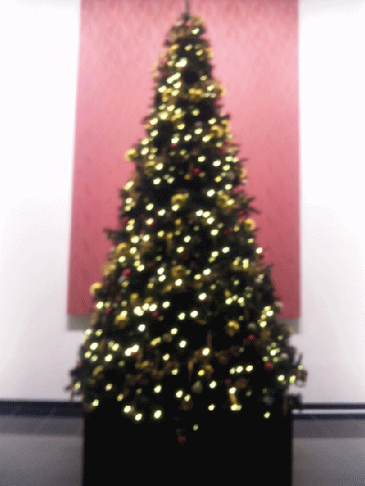 a0149304_21124888.gif