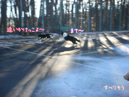 ご近所犬たちと_f0064906_18124390.jpg