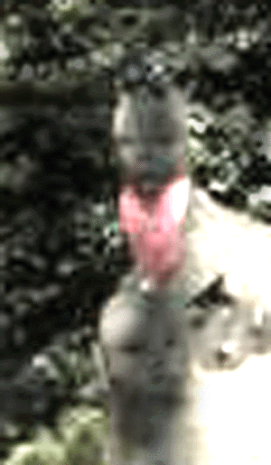 e0103408_0544260.gif