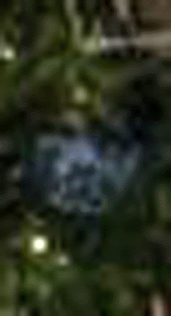 e0103408_153189.gif
