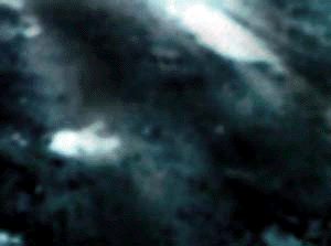 e0103408_16445160.gif