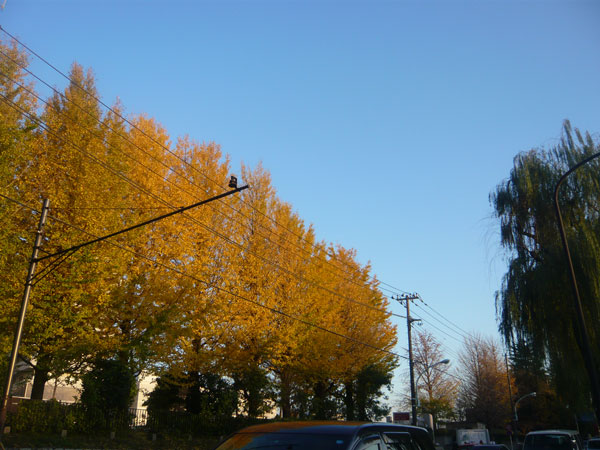 b0147611_0101565.jpg