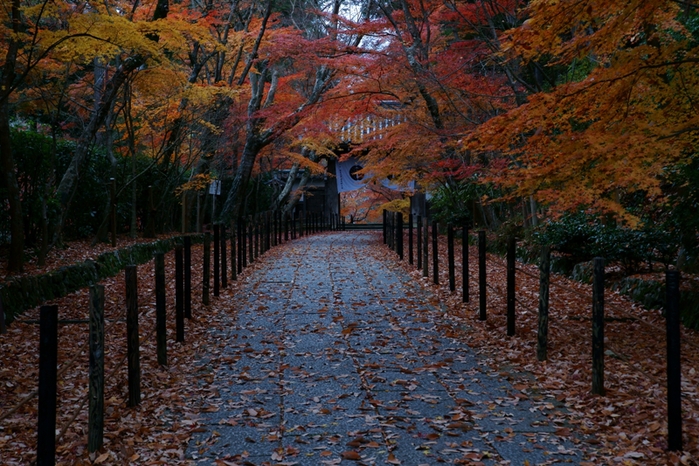 光明寺の残り紅葉_e0177413_22541180.jpg