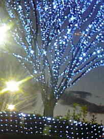 f0049813_10413966.jpg