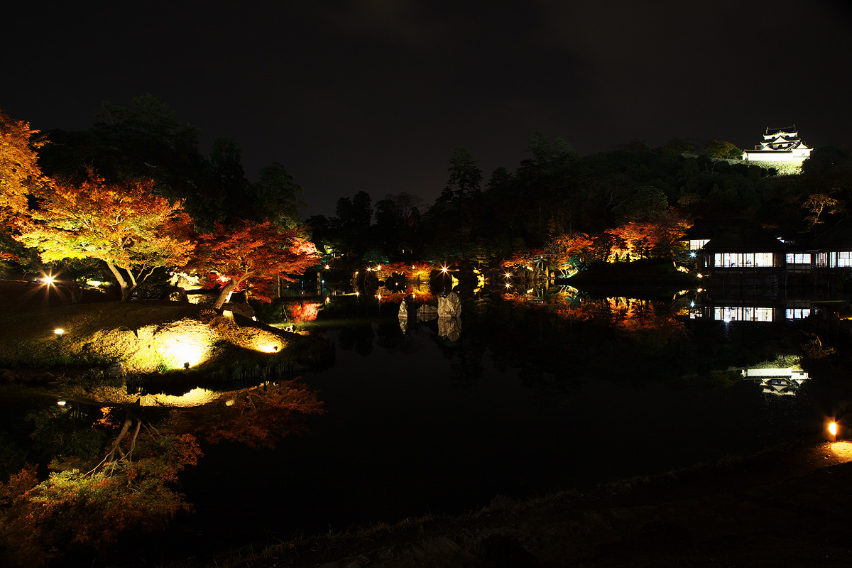 2010紅葉 その13 錦秋の玄宮園ライトアップ　（滋賀県彦根市）_c0115616_5391646.jpg