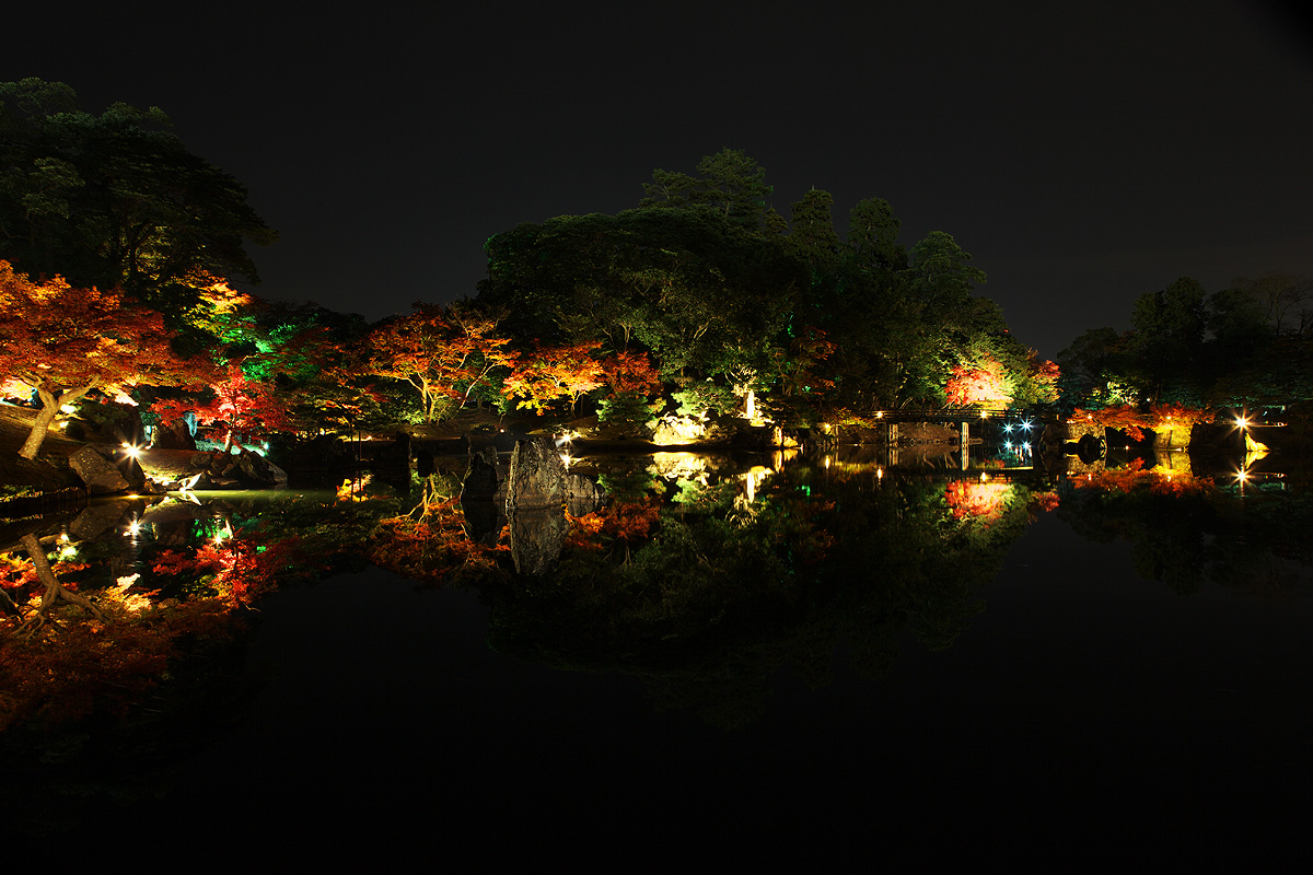 2010紅葉 その13 錦秋の玄宮園ライトアップ　（滋賀県彦根市）_c0115616_5394521.jpg