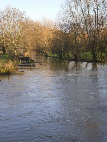 c0124619_2204026.jpg