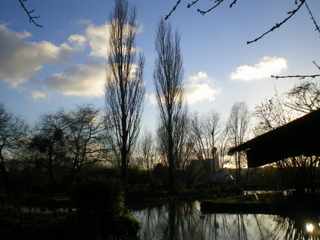 c0124619_2274561.jpg