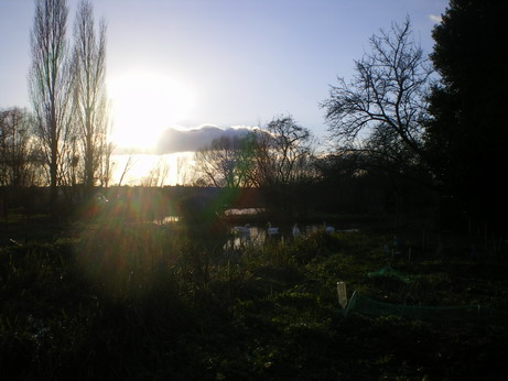 c0124619_230682.jpg
