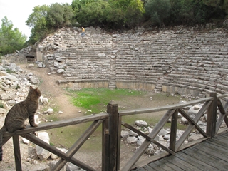 f0224632_21237100.jpg