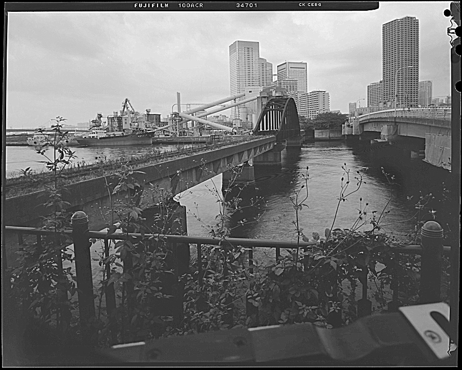 c0155136_85059.jpg