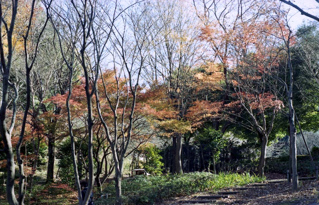 b0158237_2053564.jpg