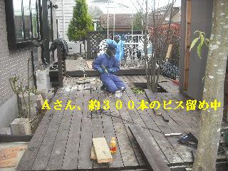 11日目の作業_f0031037_2158894.jpg