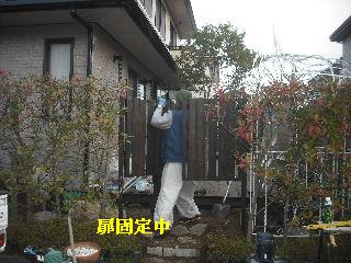 11日目の作業_f0031037_2159033.jpg