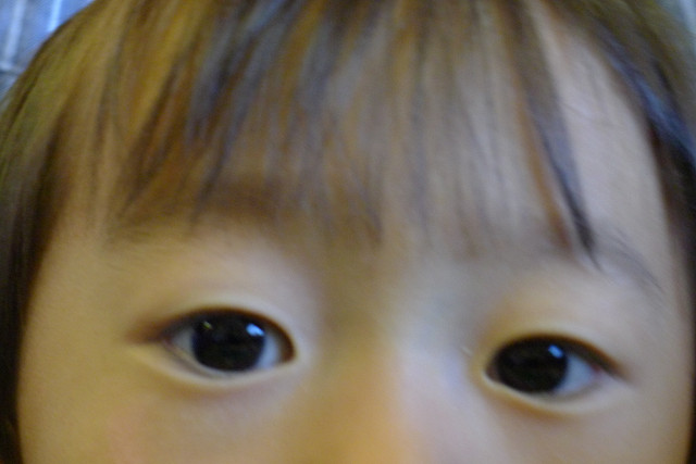 b0088444_2115263.jpg