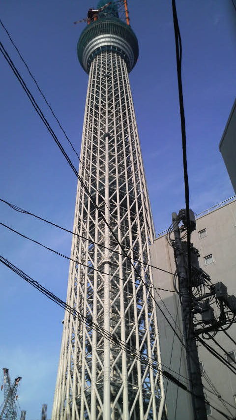 b0001747_2151666.jpg